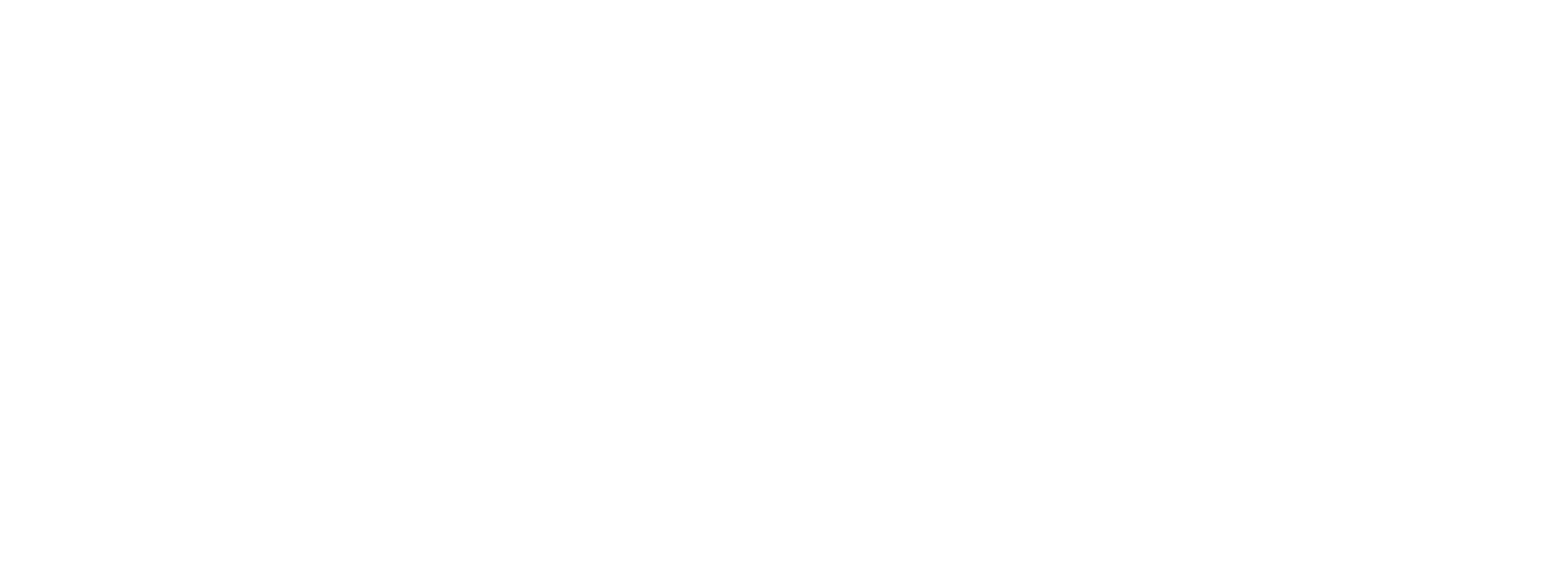 Cyber Security Club Logo
